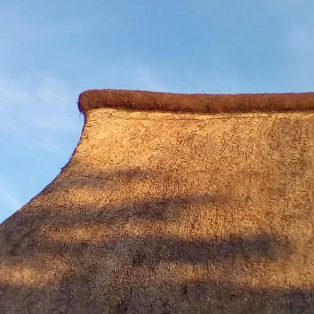 Burkard Feriehus